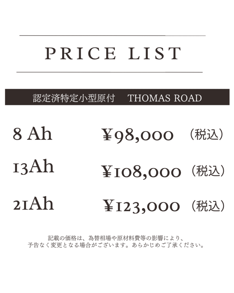 【特定小型】Super Thomas Road（免許不要モデル）特定小型原動機付自転車 免許不要 電動バイク 公道走行可能 性能認定適合【今だけオンライン限定特別キャンペーン・車体10％OFF！！】 - 画像 (17)