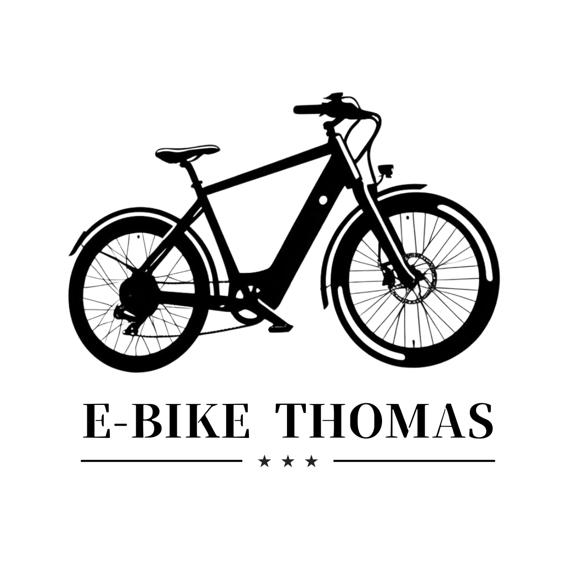 充電器 E-bike Thomas 専用 -