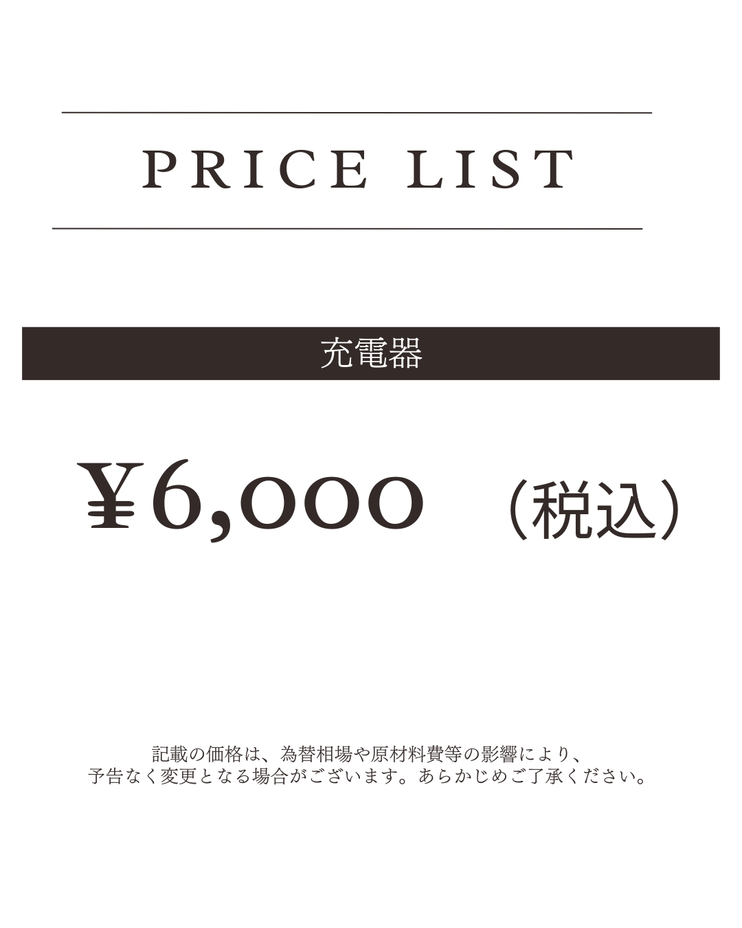 充電器 E-bike Thomas 専用 -