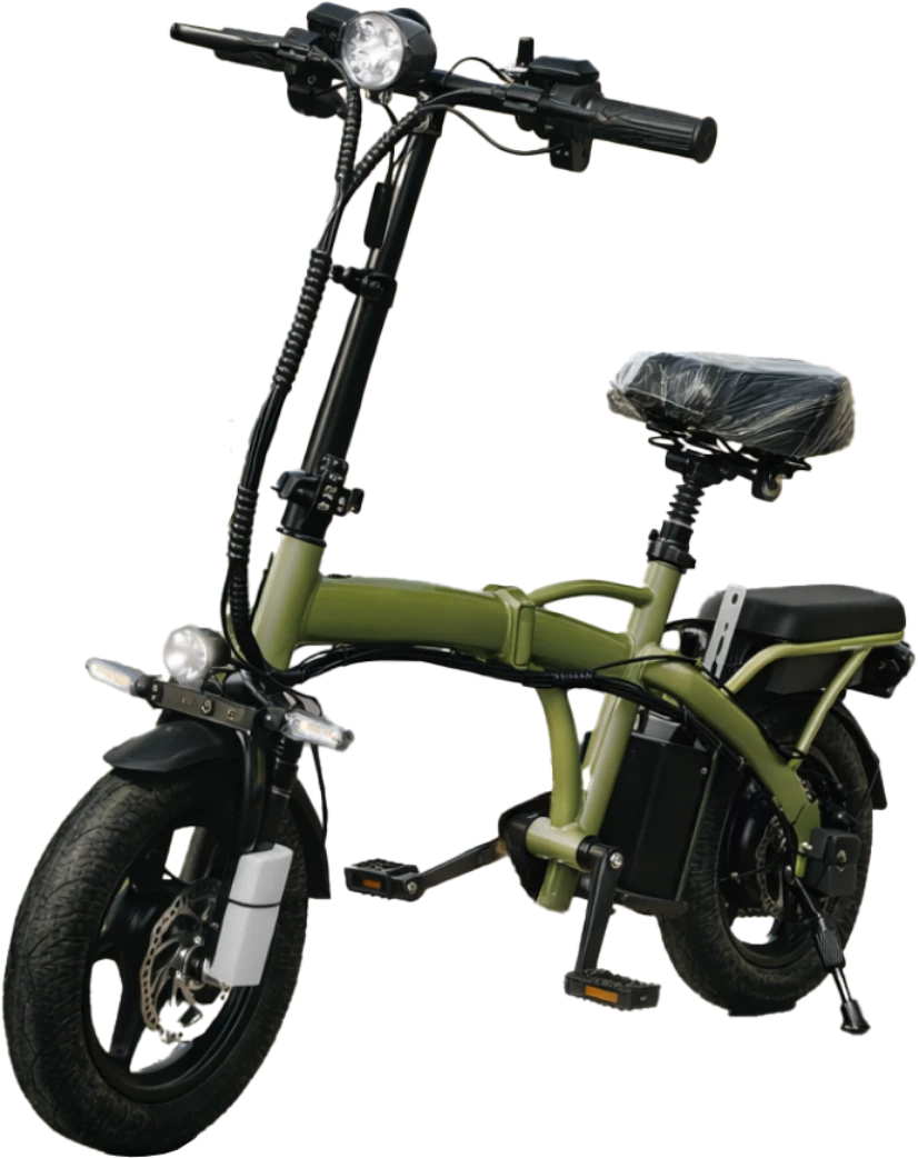 ラインナップ1