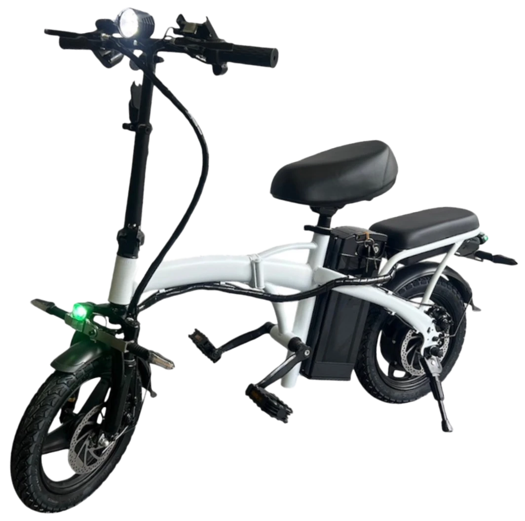 ラインナップ4